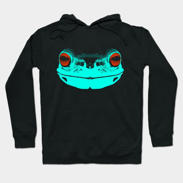 frog face / turquoise  / red eyes Hoodie by R LANG GRAPHICS